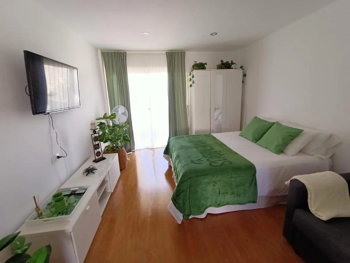 公寓 Apartamento Vista Al Mar Playa Las Americas 阿罗纳
